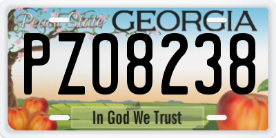 GA license plate PZO8238