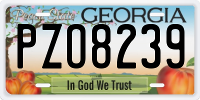 GA license plate PZO8239