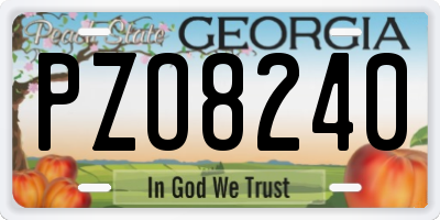 GA license plate PZO8240