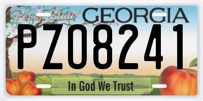 GA license plate PZO8241