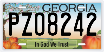 GA license plate PZO8242