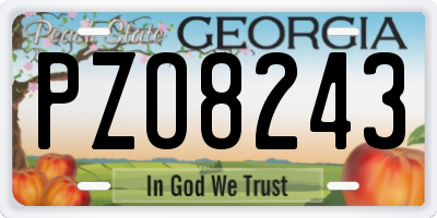 GA license plate PZO8243