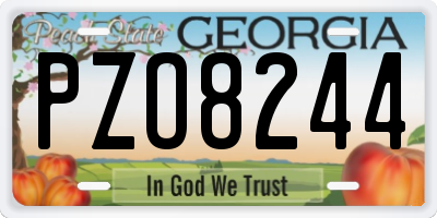 GA license plate PZO8244