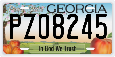 GA license plate PZO8245