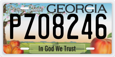 GA license plate PZO8246