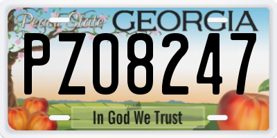 GA license plate PZO8247