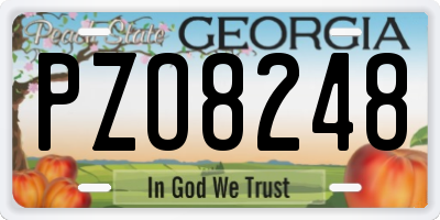 GA license plate PZO8248