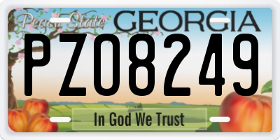 GA license plate PZO8249