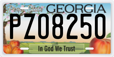 GA license plate PZO8250