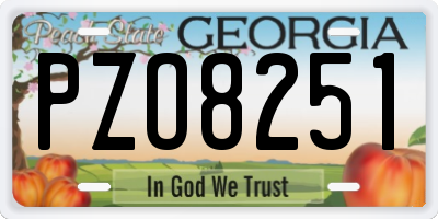 GA license plate PZO8251