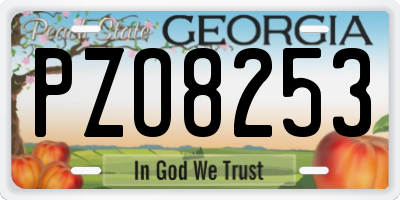 GA license plate PZO8253