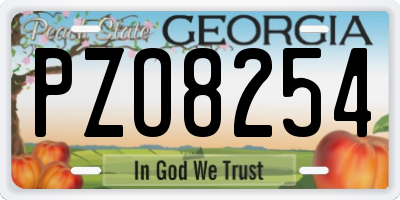 GA license plate PZO8254