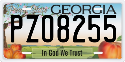 GA license plate PZO8255