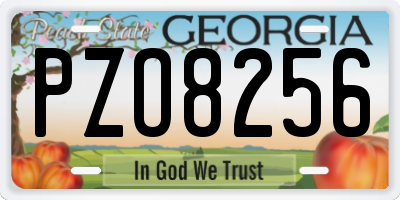 GA license plate PZO8256