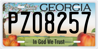 GA license plate PZO8257