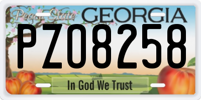 GA license plate PZO8258