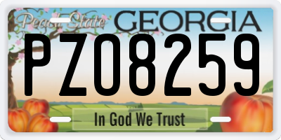 GA license plate PZO8259