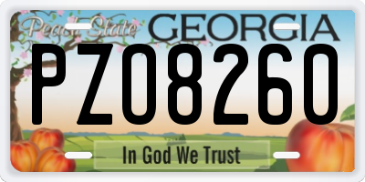 GA license plate PZO8260