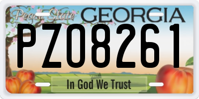 GA license plate PZO8261