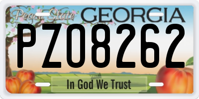 GA license plate PZO8262