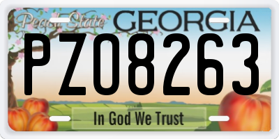 GA license plate PZO8263