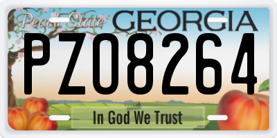 GA license plate PZO8264