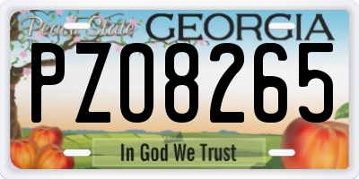 GA license plate PZO8265