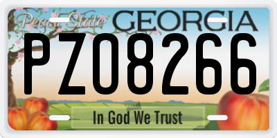 GA license plate PZO8266