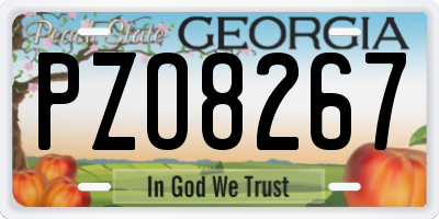 GA license plate PZO8267