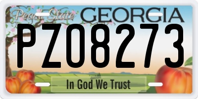 GA license plate PZO8273