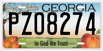 GA license plate PZO8274