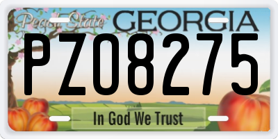 GA license plate PZO8275