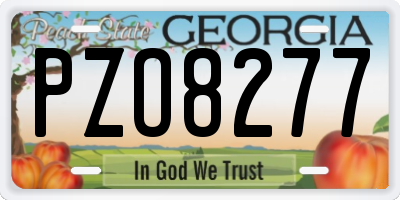 GA license plate PZO8277