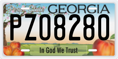 GA license plate PZO8280