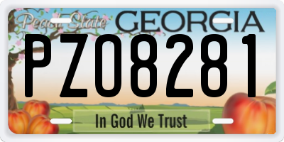 GA license plate PZO8281