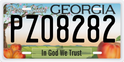 GA license plate PZO8282