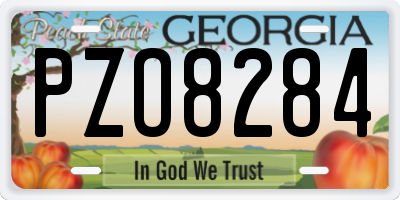 GA license plate PZO8284