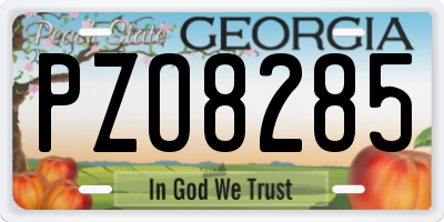 GA license plate PZO8285