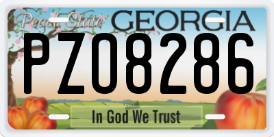 GA license plate PZO8286