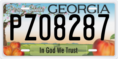 GA license plate PZO8287