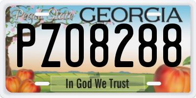 GA license plate PZO8288