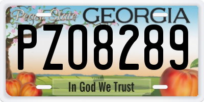 GA license plate PZO8289