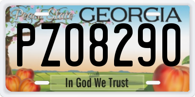 GA license plate PZO8290