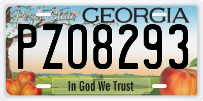 GA license plate PZO8293