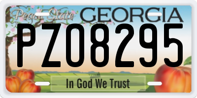 GA license plate PZO8295