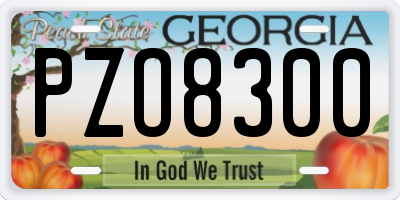 GA license plate PZO8300