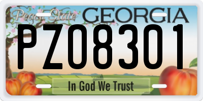 GA license plate PZO8301