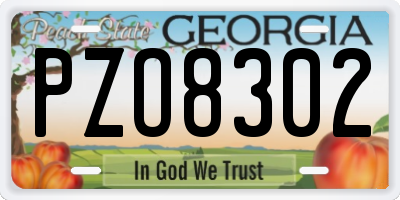 GA license plate PZO8302