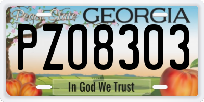 GA license plate PZO8303