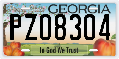 GA license plate PZO8304